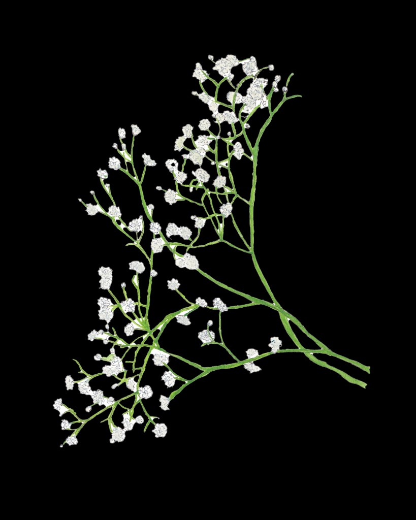 Samúðarvöndur